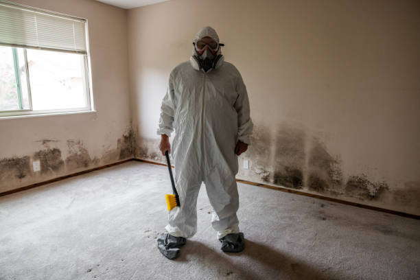 Best Mold Remediation Experts  in Audubon, NJ